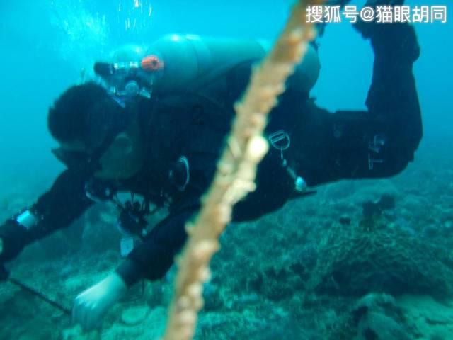 去年全省检察机关公益诉讼立案10336件